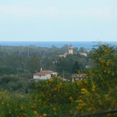 Tiria * Pula